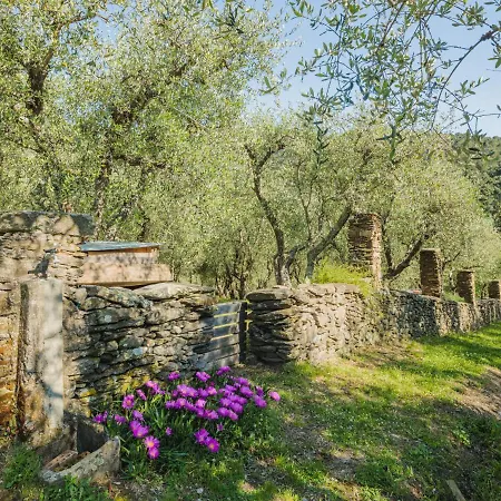 Holiday Italia By Interhome Dom wakacyjny Vorno